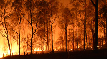Bushfire prone areas